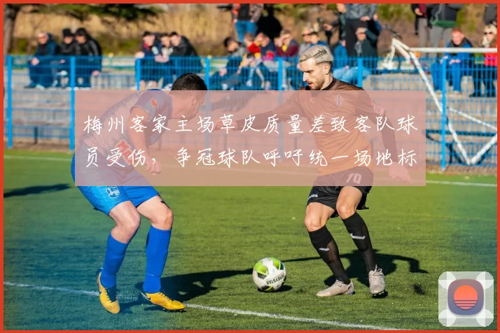 梅州客家主场草皮质量差致客队球员受伤,争冠球队呼吁统一场地标准